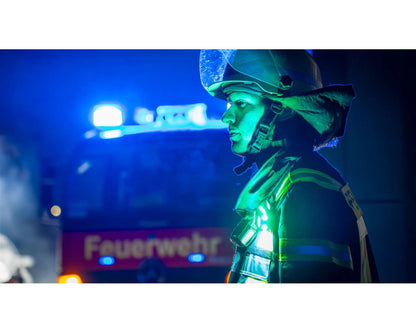 Raptors Safety Guard